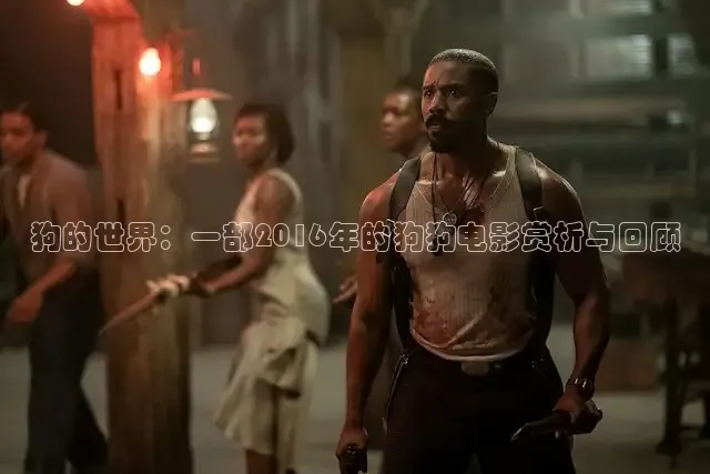 樱花视频在线观看免费高清电视剧